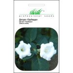 Датура Трубадур /0,1 г/ *Професійне насіння*