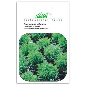Сантолина Санта /30 семян/ *Профессиональные семена*