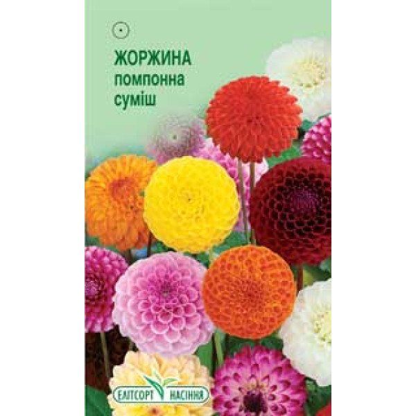 Насіння жоржини помпонна суміш /0,1 г/ *ЕлітСорт*