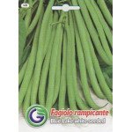 Квасоля блу лейк с.б /20 г/ *Galassi sementi*