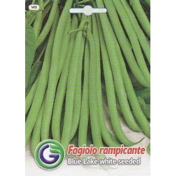 Квасоля блу лейк с.б /20 г/ *Galassi sementi*