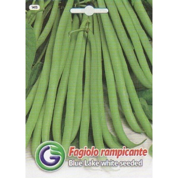 Насіння квасолі блу лейк с.б /20 г/ *Galassi sementi*