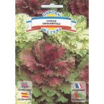 Капуста декоративна суміш /0,3 г/ *Garden Elite*