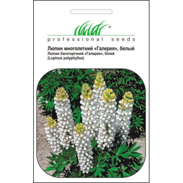 Семена люпина Фестиваль белый /0,4 г/ *Профессиональные семена*