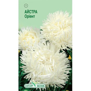 Астра Ориент /0,2 г/ *ЭлитСорт*