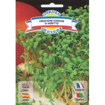 Кресс-салат Кресционе /4 г/ *Galassi sementi*