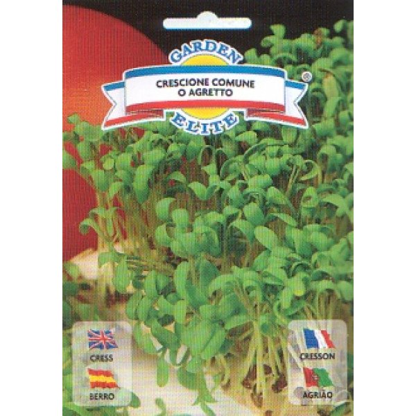 Насіння крес-салату Кресціоне /4 г/ *Galassi sementi*