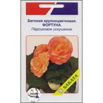 Бегонія великоквіткова Фортуна персикова спокуса /10 насінин/ *АгроПак*