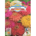 Цинія махрова Каліфорнійський велетень суміш /1,25 г/ *Garden Elite*