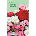 Троянда китайська суміш /10 насінин/ *ЕлітСорт*