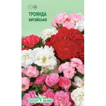 Роза китайская смесь /10 семян/ *ЭлитСорт*