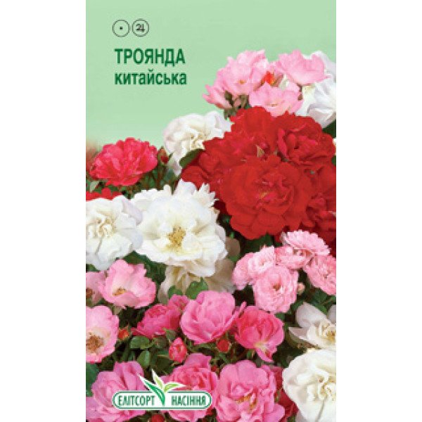 Насіння Троянди китайська суміш /10 насінин/ *ЭлитСорт*