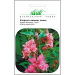 Кларкия изящная /0,1 г/ *Профессиональные семена*