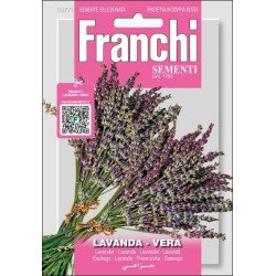 Лаванда Вера /0,75 г/ *Franchi Sementi*