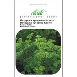Петрушка кудрявая Калито /1 г/ *Профессиональные семена*
