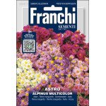 Астра Альпинус Мультиколор /0,5 г/ *Franchi Sementi*