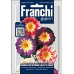 Берізка О Белла ді Джорно Мультиколор /5 г/ *Franchi Sementi*