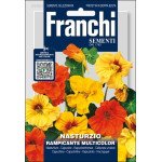 Настурція Рампіканте Мультиколор /5 г/ *Franchi Sementi*