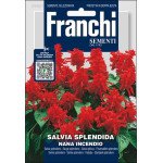Сальвія Сплендіна Нана Інчендіо /0,5 г/ *Franchi Sementi*