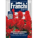 Сальвия Сплендина Скарлет Бьюти /0,5 г/ *Franchi Sementi*