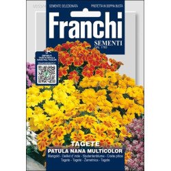 Чорнобривці Патула Нана Мультиколор /2 г/ *Franchi Sementi*