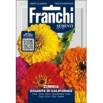 Цинія Джиганте ді Каліфорнія Мультиколор /3 г/ *Franchi Sementi*