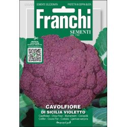 Капуста цветная Ди Сицилия Виолетто /3,2 г/ *Franchi Sementi*