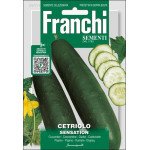 Огурец Сэнсэйшон /5 г/ *Franchi Sementi*