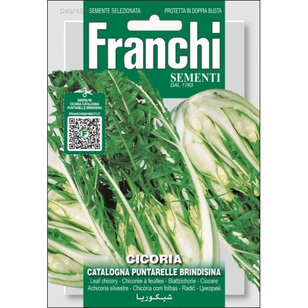 Цикорний салат Каталонья Пунтарелле Бріндізіна /12 г/ *Franchi Sementi*