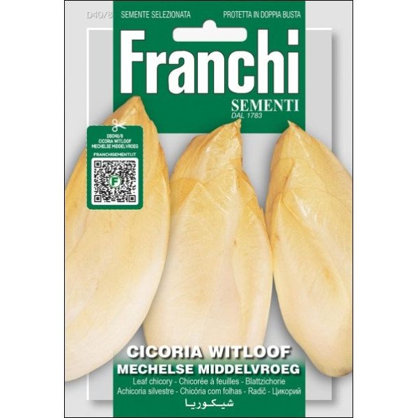 Цикорний салат Вітлуф Мекельсе Міддельвроег /12 г/ *Franchi Sementi*