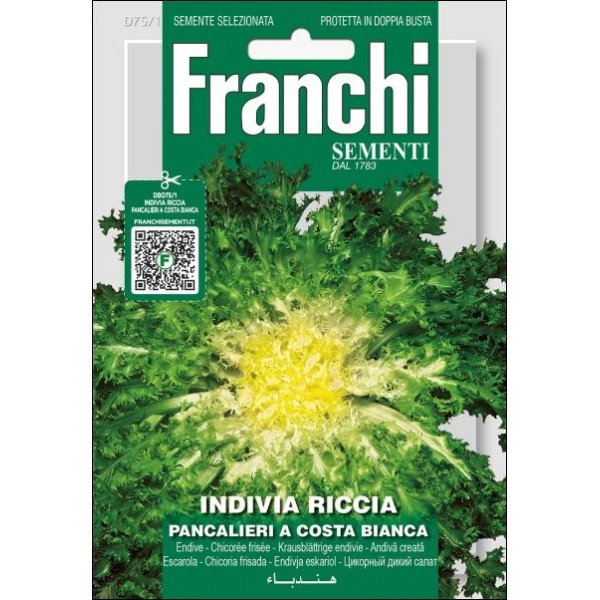 Цикорный салат эндивий Панкальери а Коста Бьянка /12 г/ *Franchi Sementi*