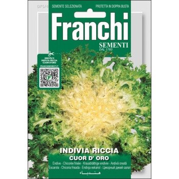 Цикорний салат ендивій Куор Д'оро /12 г/ *Franchi Sementi*