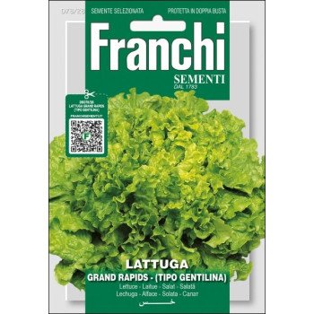 Салат Гранд Рапідс /7 г/ *Franchi Sementi*