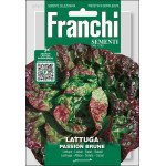 Салат Пассіон Брюн /7 г/ *Franchi Sementi*