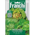 Салатная смесь Мистиканца ди Латтюге Бурро /10 г/ *Franchi Sementi*