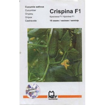 Огірок Кріспіна F1 /15 насінин/ *АгроПак*
