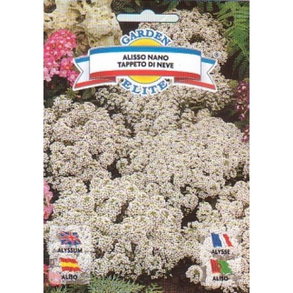 Аліссум сніговий килим /0,5 г/ *Garden Elite*