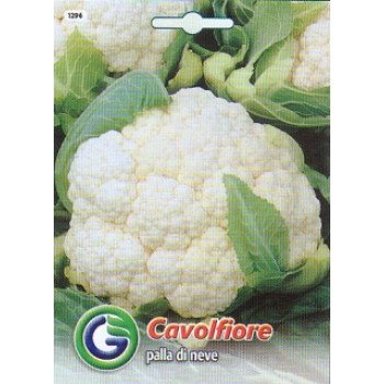 Капуста цветная Палла ди неве /2 г/ *Galassi sementi*