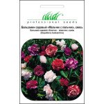 Бальзамін Хлопчик - мізинчик суміш /1 г/ *Професійне насіння*