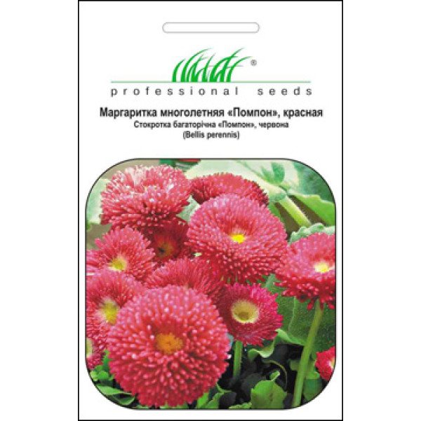 Семена маргаритки Помпон красная /0,01 г/ *Профессиональные семена*
