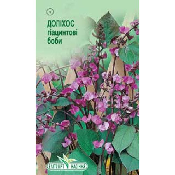 Семена Долихоса гиацинтовые бобы /5 семян/ *ЭлитСорт*