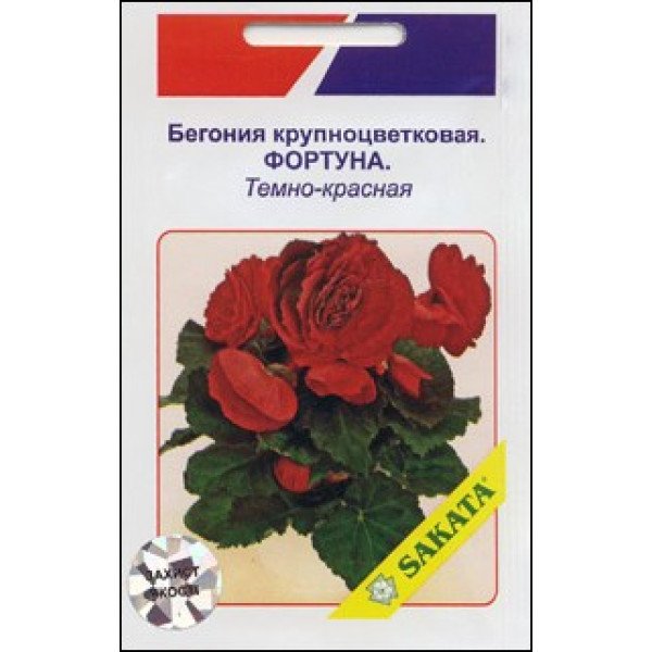 Бегония крупноцветковая Фортуна темно-красная /10 семян/ *АгроПак*