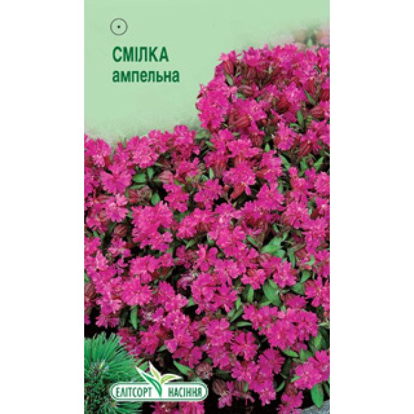 Семена Смолёвки ампельной /0,1 г/ *ЭлитСорт*