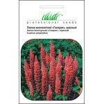 Люпин Фестиваль червоний /0,4 г/ *Професійне насіння*