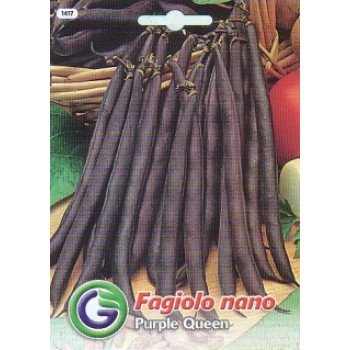 Квасоля пурпл квін /20 г/ *Galassi sementi*