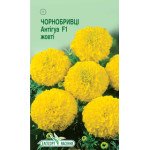 Чорнобривці Антігуа F1 жовтий /5 насінин/ *ЕлітСорт*