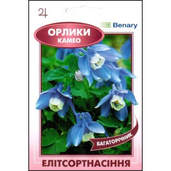 Аквілегія Камео біло-блакитна /5 насінин/ *ЕлітСорт*