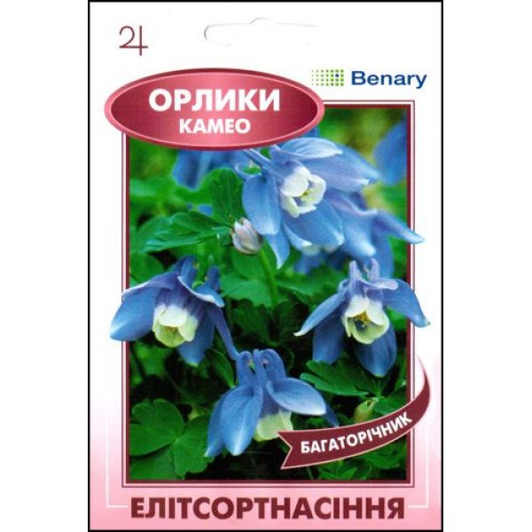 Насіння аквілегії Камео біло-блакитні/5 насінин/ *ЕлітСорт*