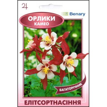 Аквілегія Камео червоно-біла /5 насінин/ *ЕлітСорт*