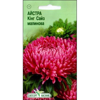 Астра Кинг Сайз малиновая /0,2 г/ *ЭлитСорт*